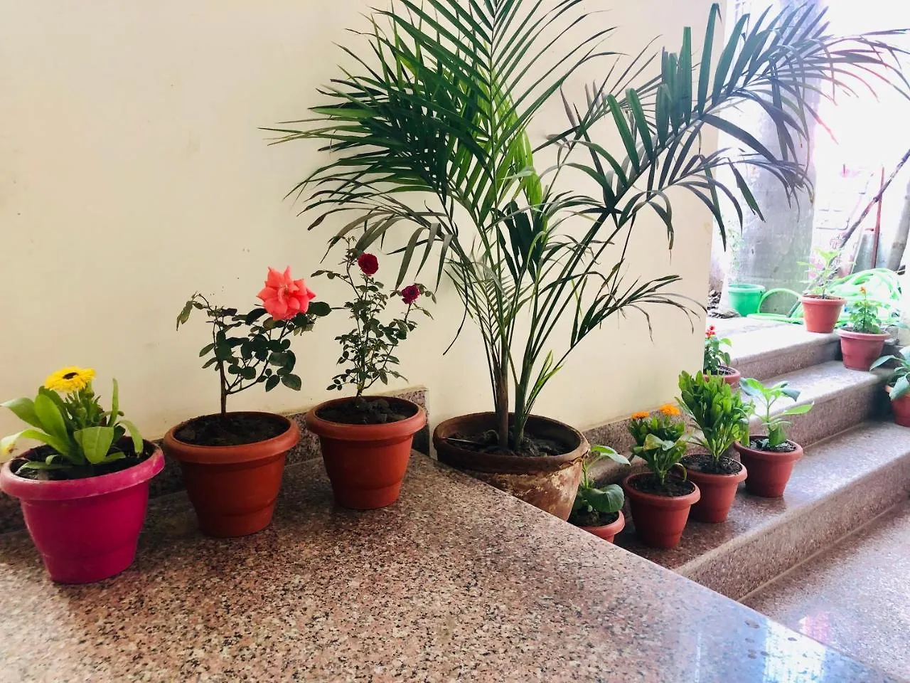 Hotel Gangotri Paying Guest House India